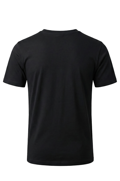 Erkek İnterlok Kumaş Basic Tişört