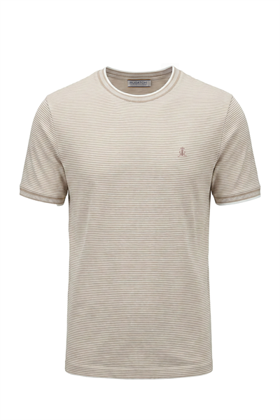 Erkek Çizgili Bisiklet Yaka Basic Tişört