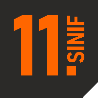 11. Sınıf