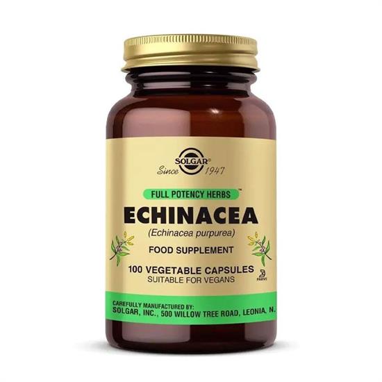 Solgar Echinacea 520 mg 100 Kapsül