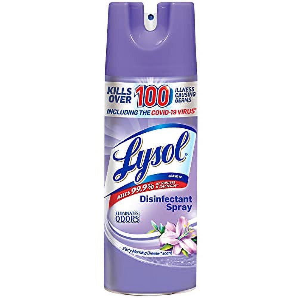 Lysol Disinfectant Spray Early Morning Breeze354 gr. Sabah Esintisi  