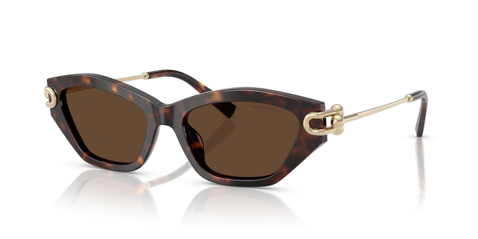 TIFFANY & CO. TF 4231-U 8015/3G 53 KADIN GÜNEŞ GÖZLÜĞÜ