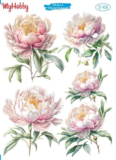 My Hobby My Hobby St 306 Sulu Transfer 25X35
