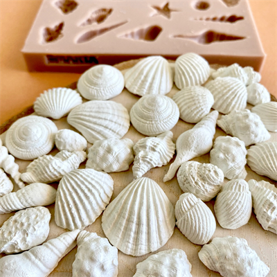 DENİZ KABUKLARI - Seashells