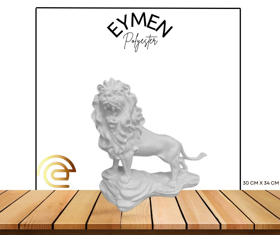 ASLAN 1