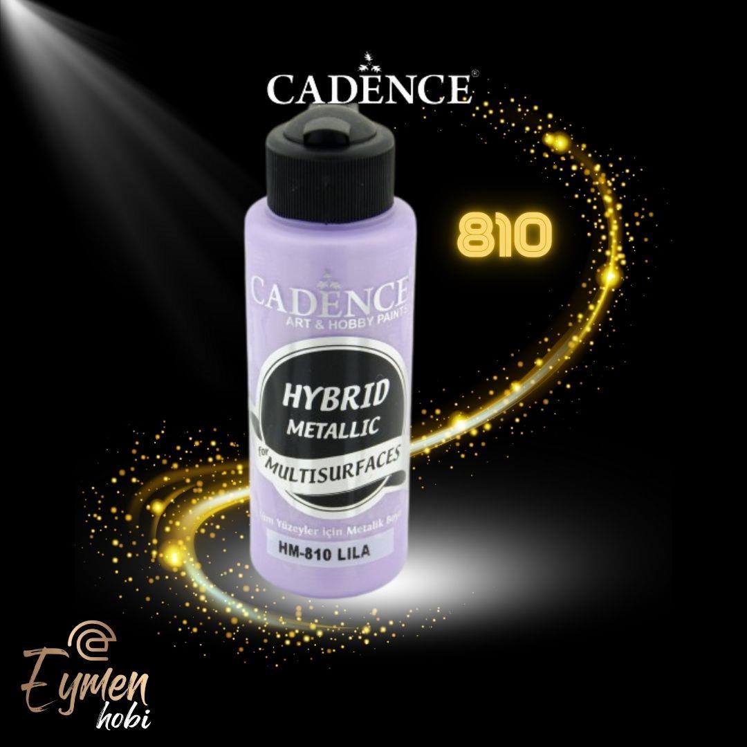 HYBRID METALİK 810 LİLA