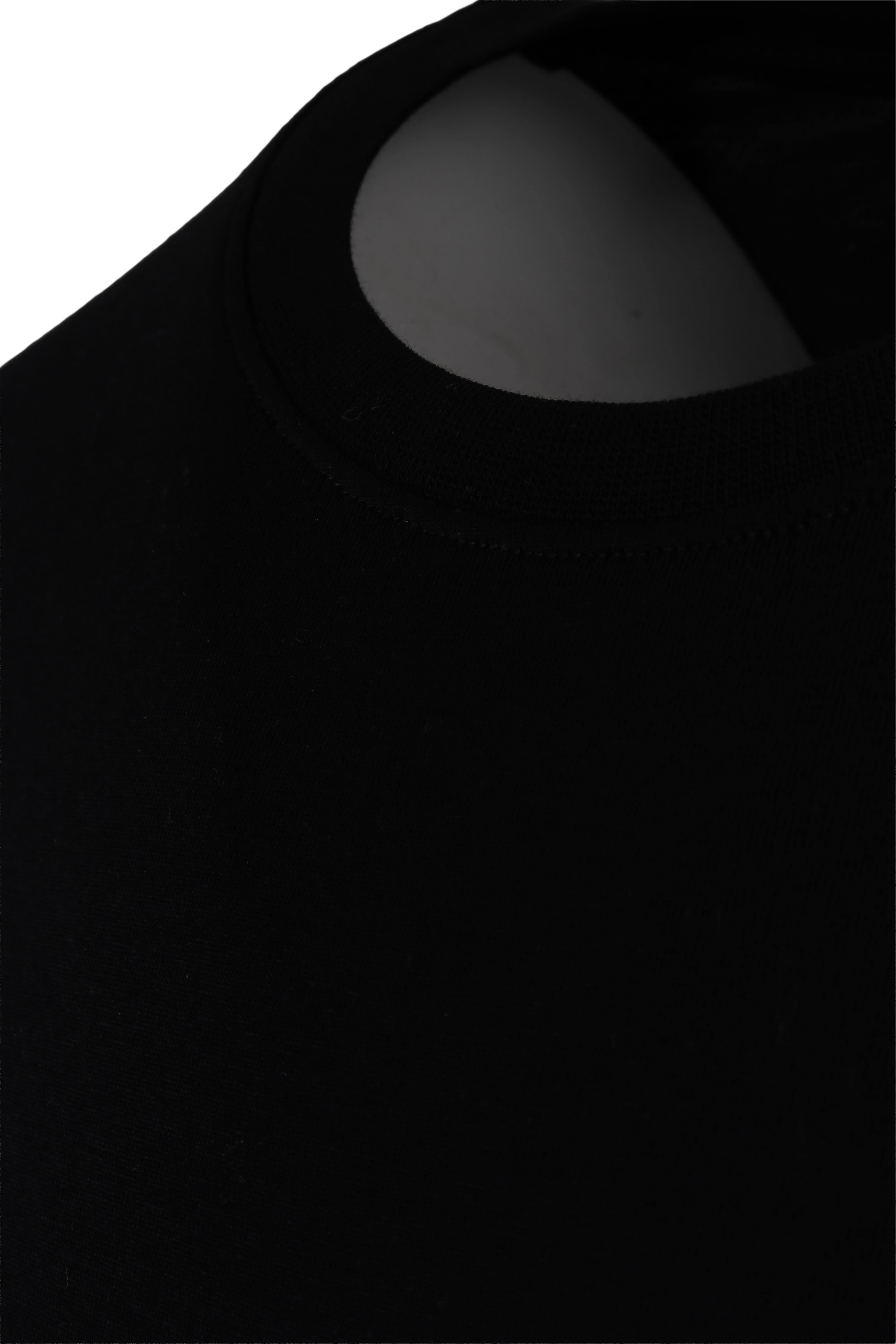 Erkek Nakış İşlemeli Pamuklu Slim Fit Tişört T6024-SİYAH