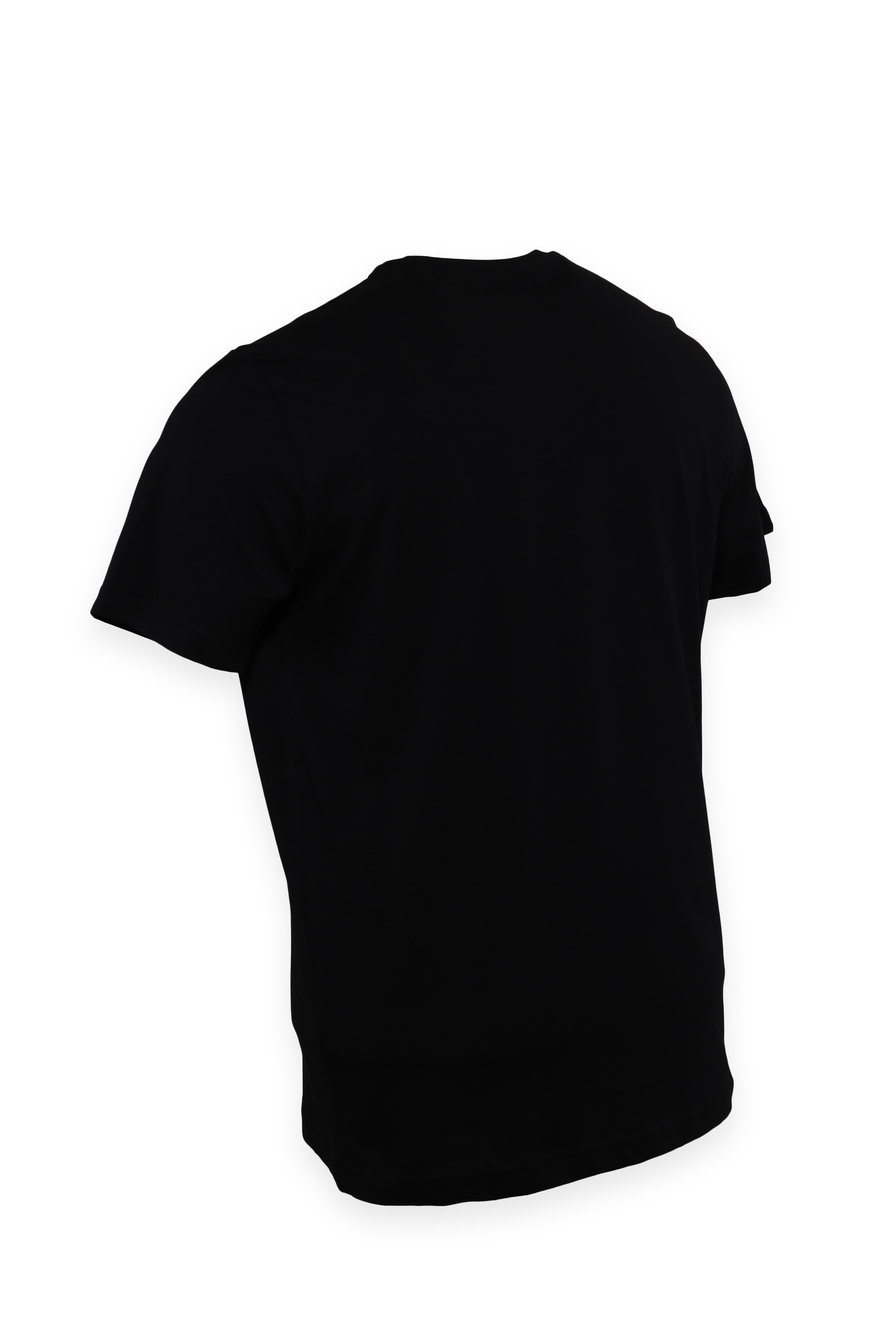 Erkek Bisiklet Yaka Baskılı Nakışlı Pamuklu Slim Fit Tişört T6025-SİYAH