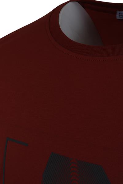 Erkek Suprem Baskılı Pamuklu Slim Fit Tişört R7890-TARÇIN