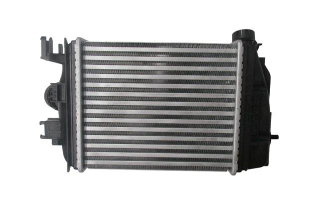 (YENİ ÜRÜN!!!)RENAULT DUSTER- 2024; TURBO SOĞUTMA RADYATÖRÜ 1.0/1.3 (İNTERCOOLER) (BRAZİNG) (257X224X50) ORİS