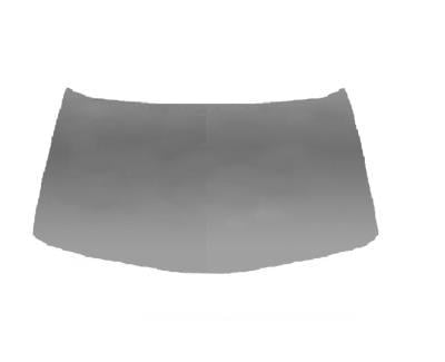 MOTOR KAPUTU MEGANE 2 2003- EAGLE BODY