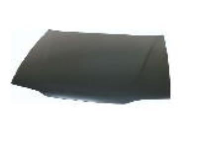 MOTOR KAPUTU R19 1992- EAGLE BODY