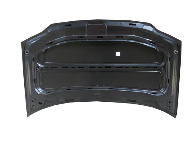 VOLKSWAGEN CADDY- 04/10; MOTOR KAPUTU (TYG)
