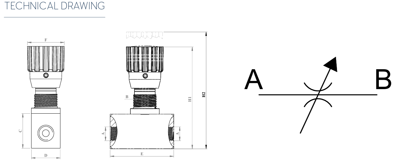 OL-06-FCV-NPT14 teknik çizim