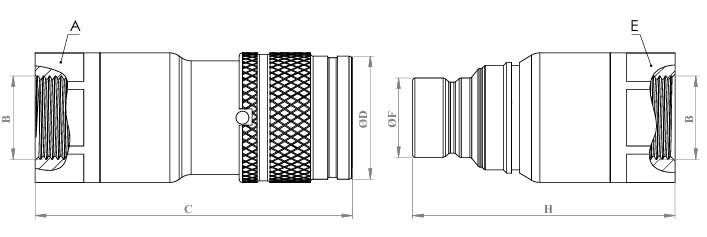 QCF-10B-NPT38 teknik çizim