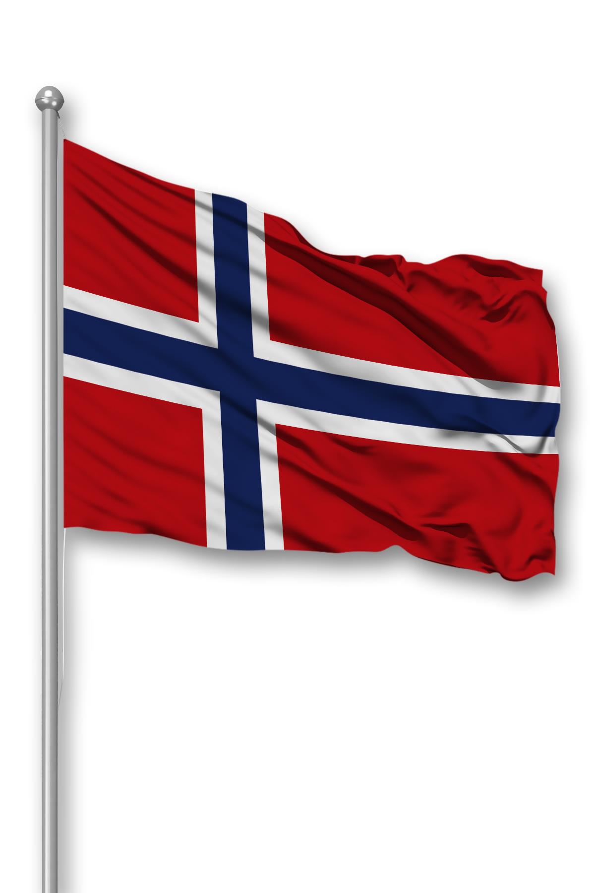 Norveç Ülke Bayrağı 1. Kalite Raşel Kumaş