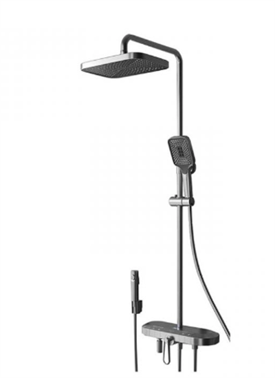 Zeta Digital Duş Ünitesi Metalik Gri 671535