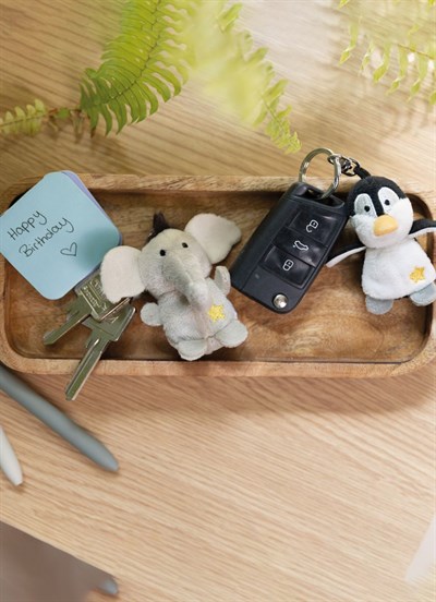 Keyholder Penguin With Star