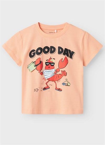 Name IT Tshirt Somon