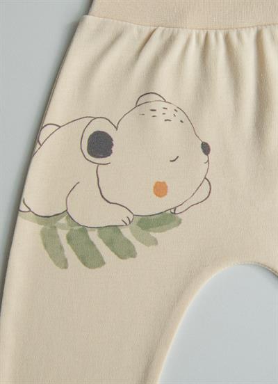 Organik Cute Bear 3lü Çoraptolon Yeşil