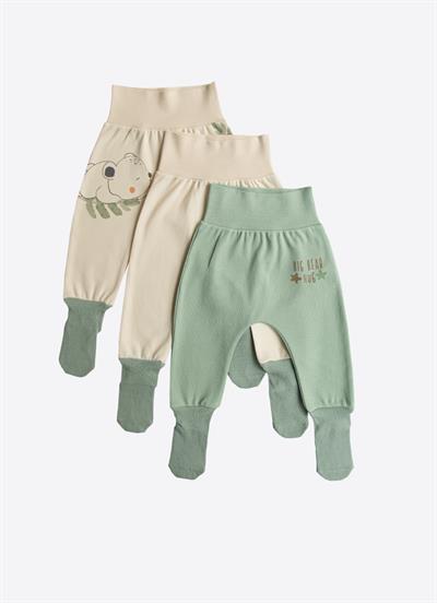 Organik Cute Bear 3lü Çoraptolon Yeşil