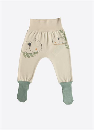 Organik Cute Bear 3lü Çoraptolon Yeşil