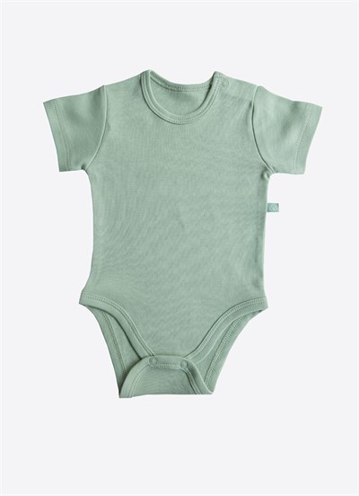 Organik Cute Bear 3lü Kısa Kol Body Yeşil