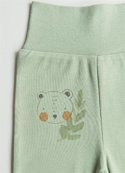 Organik Cute Bear 3lü Patikli Pantolon Yeşil