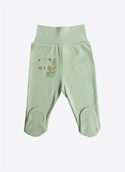 Organik Cute Bear 3lü Patikli Pantolon Yeşil