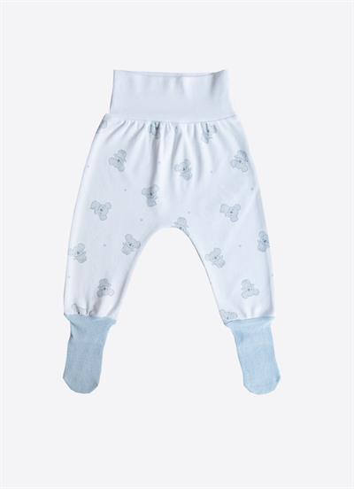 Organik Cute Koala 3lü Çoraptolon Mavi