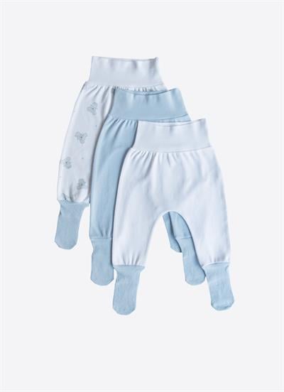 Organik Cute Koala 3lü Çoraptolon Mavi