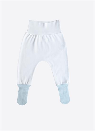 Organik Cute Koala 3lü Çoraptolon Mavi