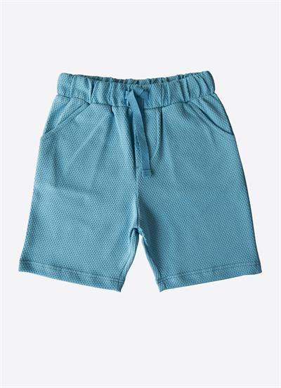 Organik Dorian 2li Şort Mavi Yeşil