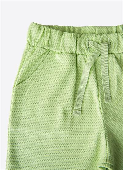 Organik Dorian 2li Şort Mavi Yeşil