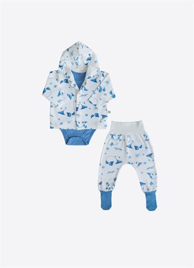 Organik Panda 3lü Set Mavi