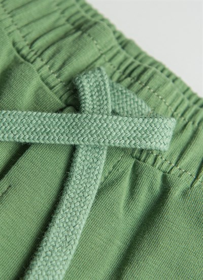 Organik Take 2li Şort Yeşil