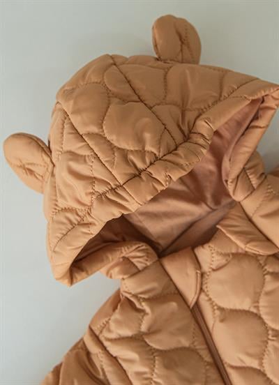 Poly Kapitone Kozmonot Tarçın