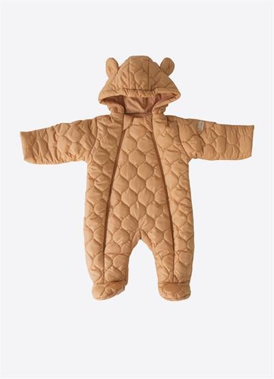 Poly Kapitone Kozmonot Tarçın