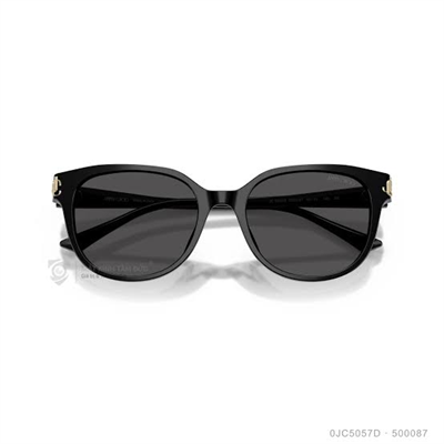JIMMY CHOO 0JC5057D 500087 55 Kadın Güneş Gözlüğü