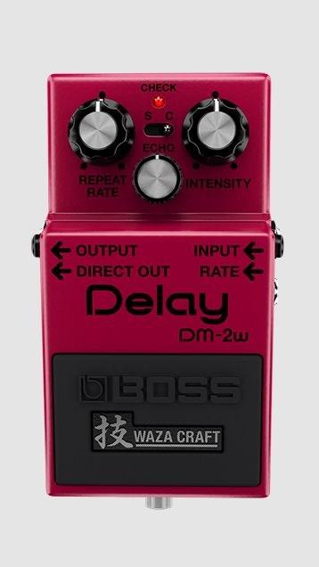 BOSS DM-2W Waza Craft Delay Efekt Pedalı