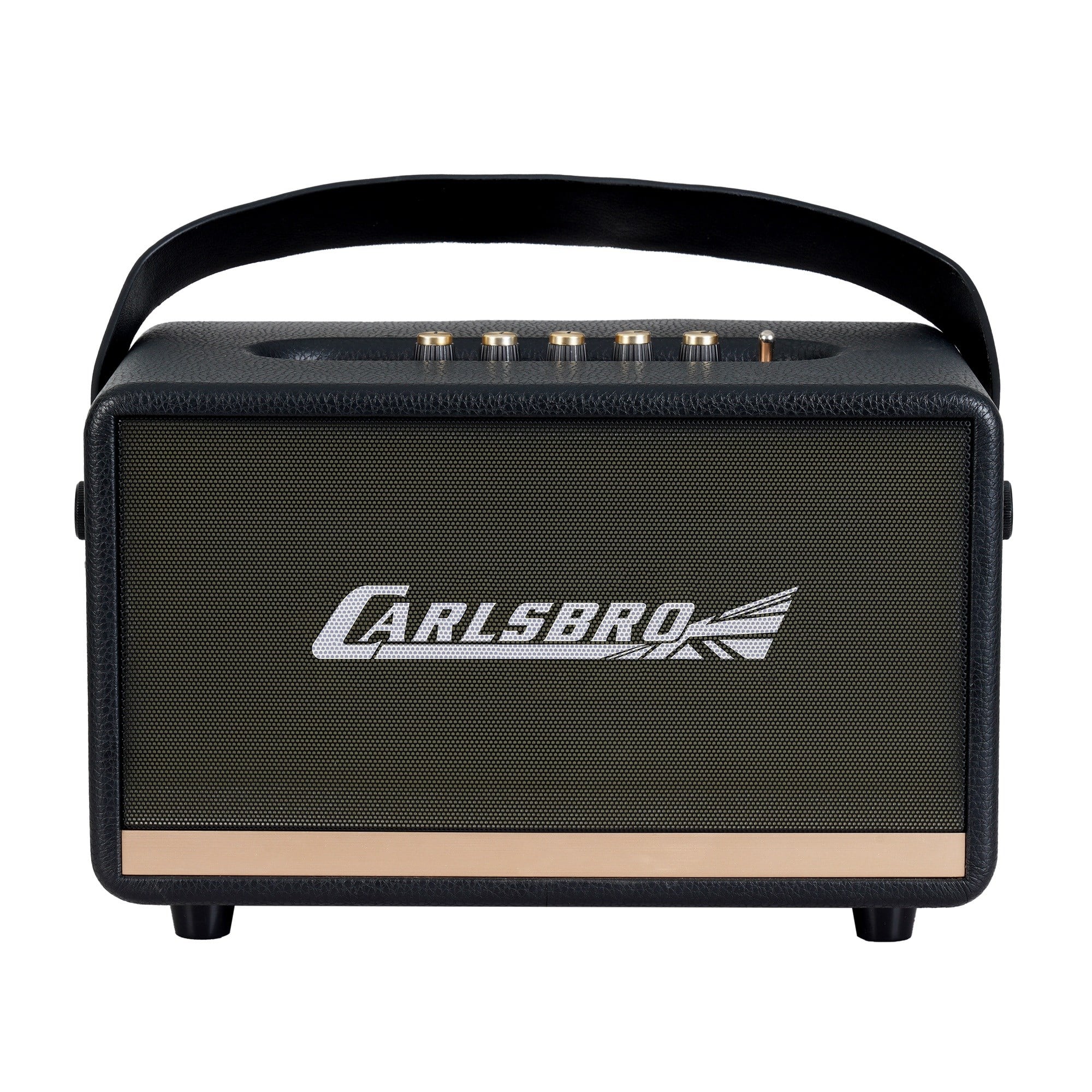 Carlsbro EW CK30-DM Bluetooth Hoparlör (Siyah - 2 Kablosuz Mikrofonlu)