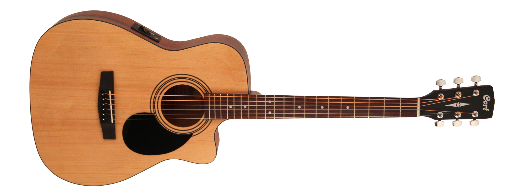 ELEKTRO AKUSTİK GİTAR