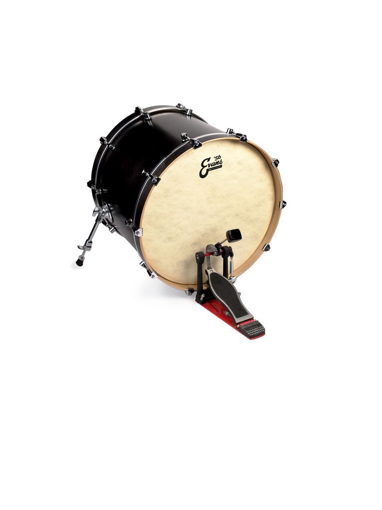 EVANS BD22GB4CT 22