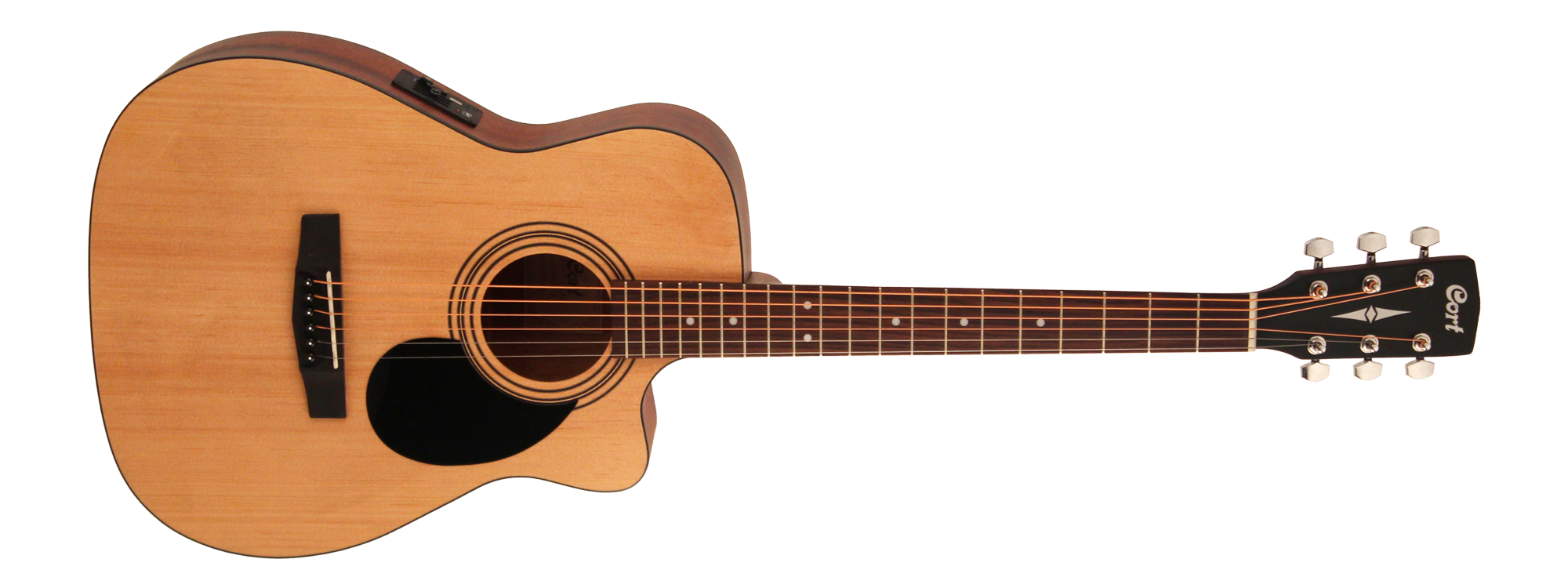 ELEKTRO AKUSTİK GİTAR