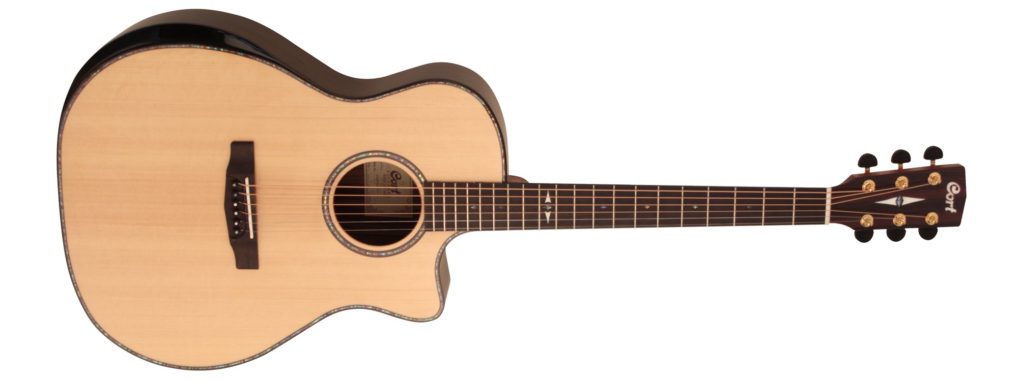 ELEKTRO AKUSTİK GİTAR