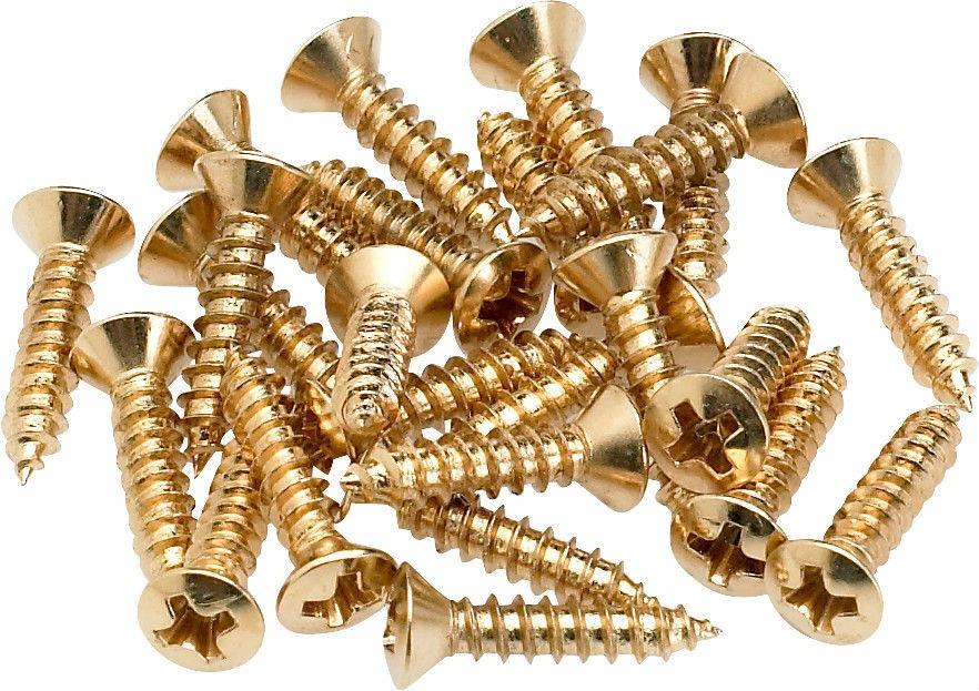 Fender Pickguard/Control Plate Mounting Screws 24 Gold Gitar Yedek Parça