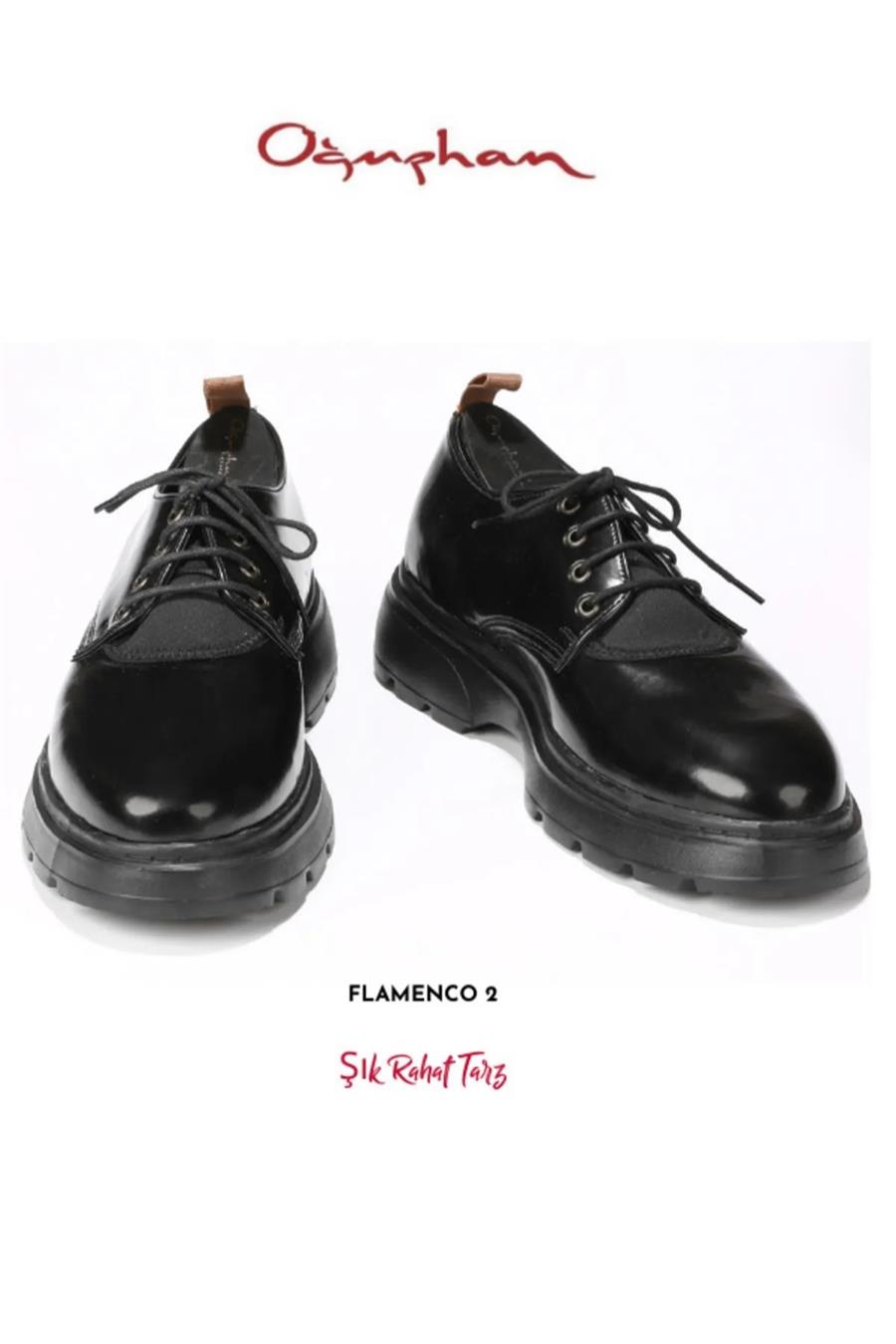 Flamenco 02 Casual Erkek Ayakkabı Siyah