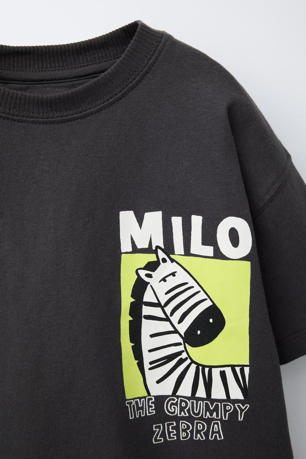 Erkek Çocuk Pamuklu Siyah Zebra Baskılı T-shirt ve Şort Takım - Eğlenceli Yazlık