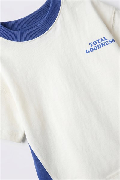 Erkek Çocuk Pamuklu Mavi Blok Renk T-Shirt Şort Takım
