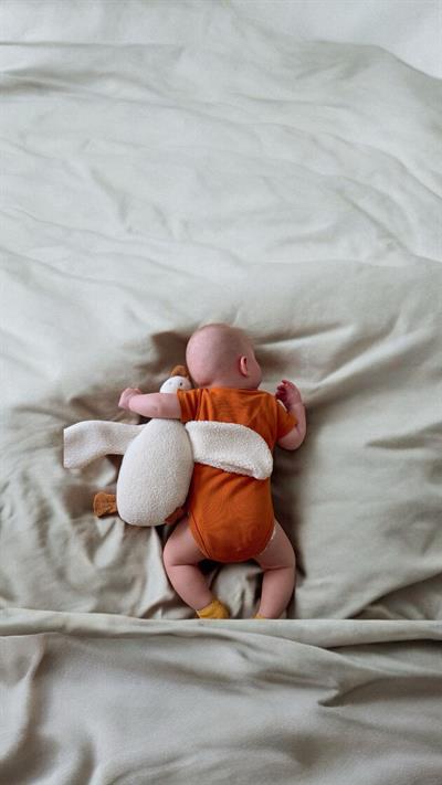 Peluş Kaz Uyku Arkadaşı - Yumuşak Dokulu, Sarılabilir Tasarım